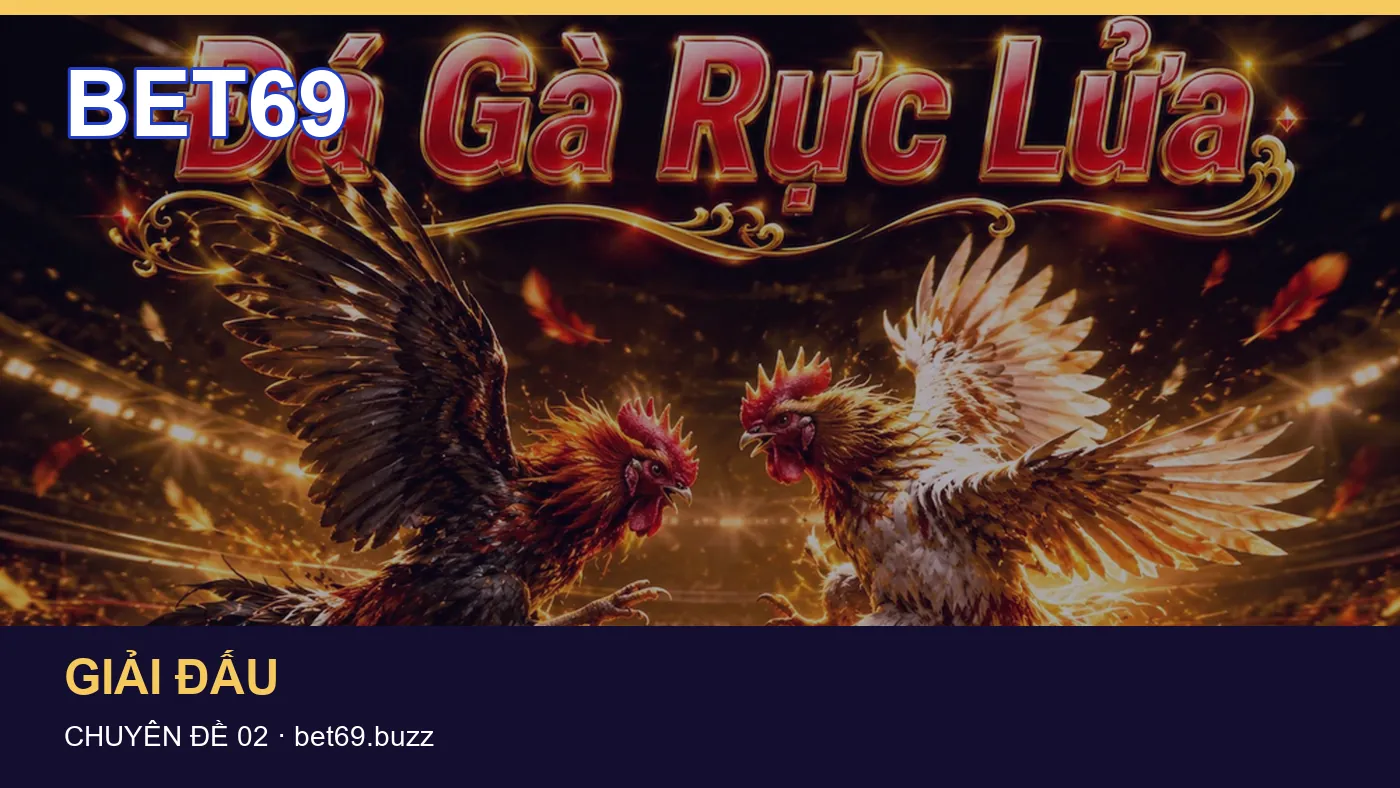 Hỏi đáp về Thuật ngữ kèo: quy trình tự kiểm tra trên BET69